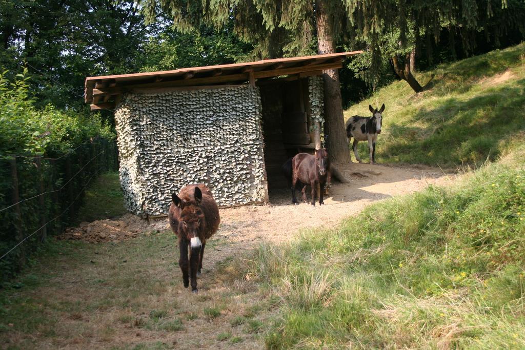 B&B La Casa Di Campagna Bergamo Bagian luar foto