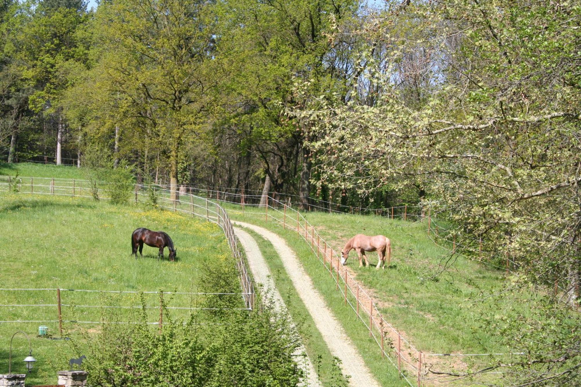 B&B La Casa Di Campagna Bergamo Bagian luar foto