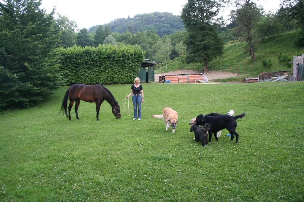 B&B La Casa Di Campagna Bergamo Bagian luar foto